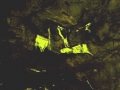 В пещерах Горного Алтая